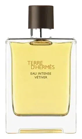 Hermès Terre d'Hermès Eau Intense Vétiver