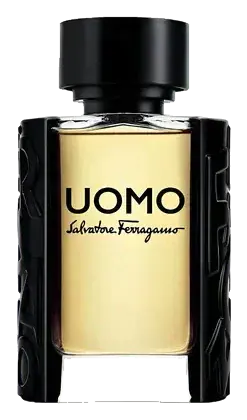 Salvatore Ferragamo Uomo Salvatore Ferragamo 2016 Eau de Toilette