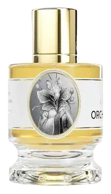 Zoologist Orchid Mantis