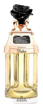 The Spirit of Dubai Narjesi