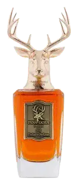 Pana Dora XVI
