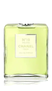 Chanel N°19 Poudré