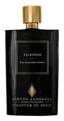 Simone Andreoli Silenzio