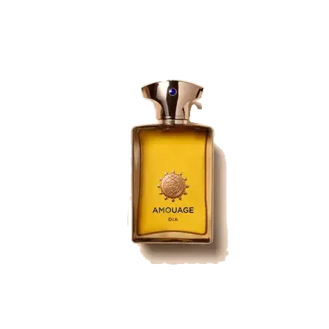 Amouage Dia Man
