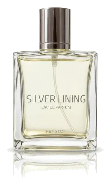 David Heinsson Silver Lining