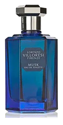 Lorenzo Villoresi Musk