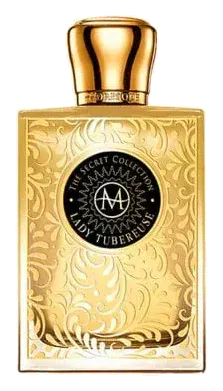 Moresque Lady Tubereuse