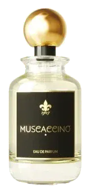1907 Muscaccino