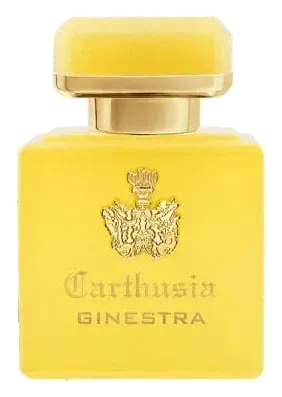 Carthusia Ginestra