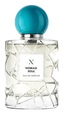Les Sœurs De Noé Nomad Soul