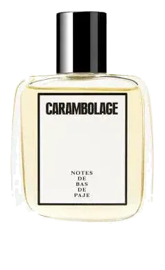 Notes De Bas De Paje Carambolage