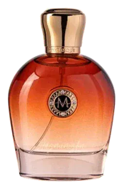 Moresque Jasminisha