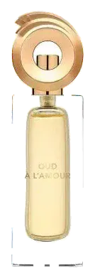 Aphorismes by Dominique Ropion Oud A L'amour