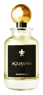 1907 Aquasmin