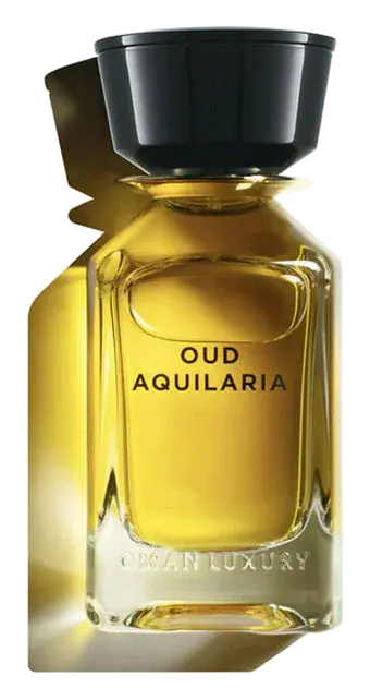 Oman Luxury Oud Aquilaria
