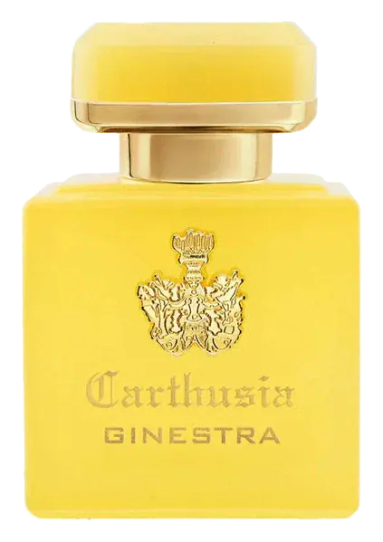 Carthusia Intenso di Ginestra