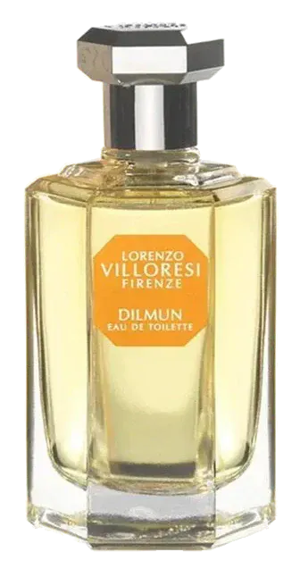 Lorenzo Villoresi Dilmun