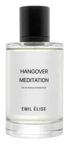Emil Élise Hangover meditation