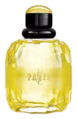 Yves Saint Laurent YSL Paris Paris