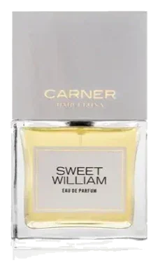 Carner Barcelona sweet william