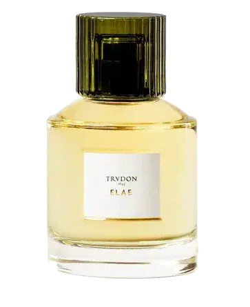Trudon 1643 elae