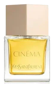 Yves Saint Laurent Cinema Kino