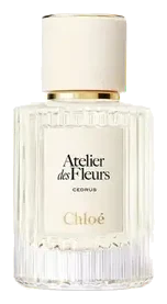 Chloé Atelier des Fleurs Cedrus