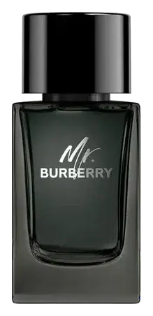 Burberry Mr. Burberry