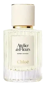 Chloé Atelier des Fleurs Herba Mimosa