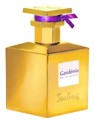 Isabey gardenia