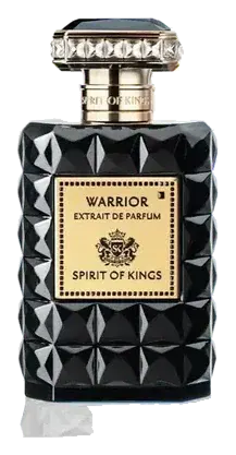 Spirit Of Kings Warrior