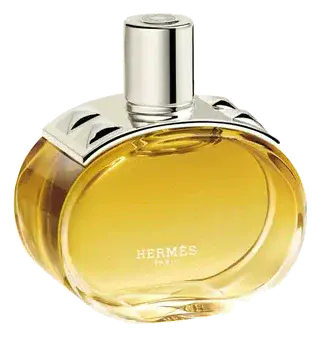 Hermès Barénia Intense