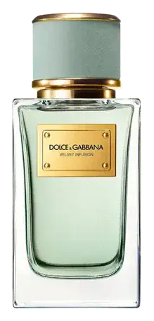Dolce & Gabbana Velvet Collection The Infusion
