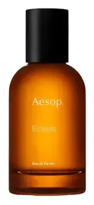 Aesop Eidesis