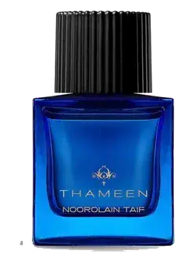 Thameen London Noorolain Taif