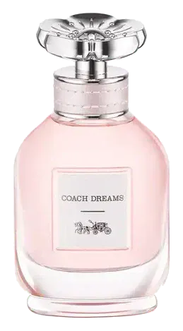 Coach Dreams
