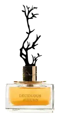 Aurora Scents Deciduous Autumn für Frauen