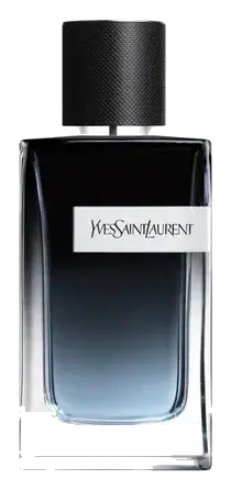 Yves Saint Laurent Y