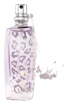Naomi Campbell Cat deluxe Silber