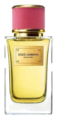 Dolce & Gabbana Velvet Collection Rose