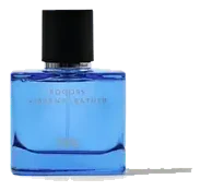 Zara Bogoss Vibrant Leather (2,03 Fl. Oz