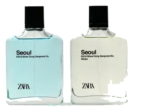 Zara Seoul + Seoul Winter 2X