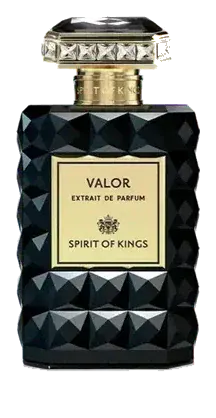Spirit Of Kings Valor