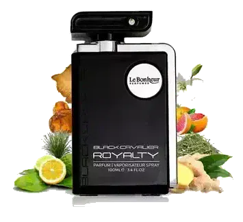 Le Bonheur Perfumes Black Cavalier Royalty