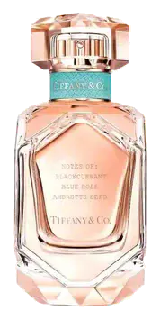 Tiffany & Co. Rose Gold