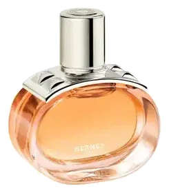 Hermès Barénia Pleine Fleur