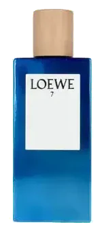 Loewe 7 Pour Homme Spray