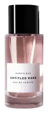 Bmrvls Untitled Rose Nat. Spray