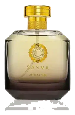 Sasva junoon