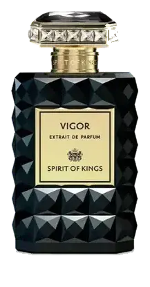 Spirit Of Kings Vigor